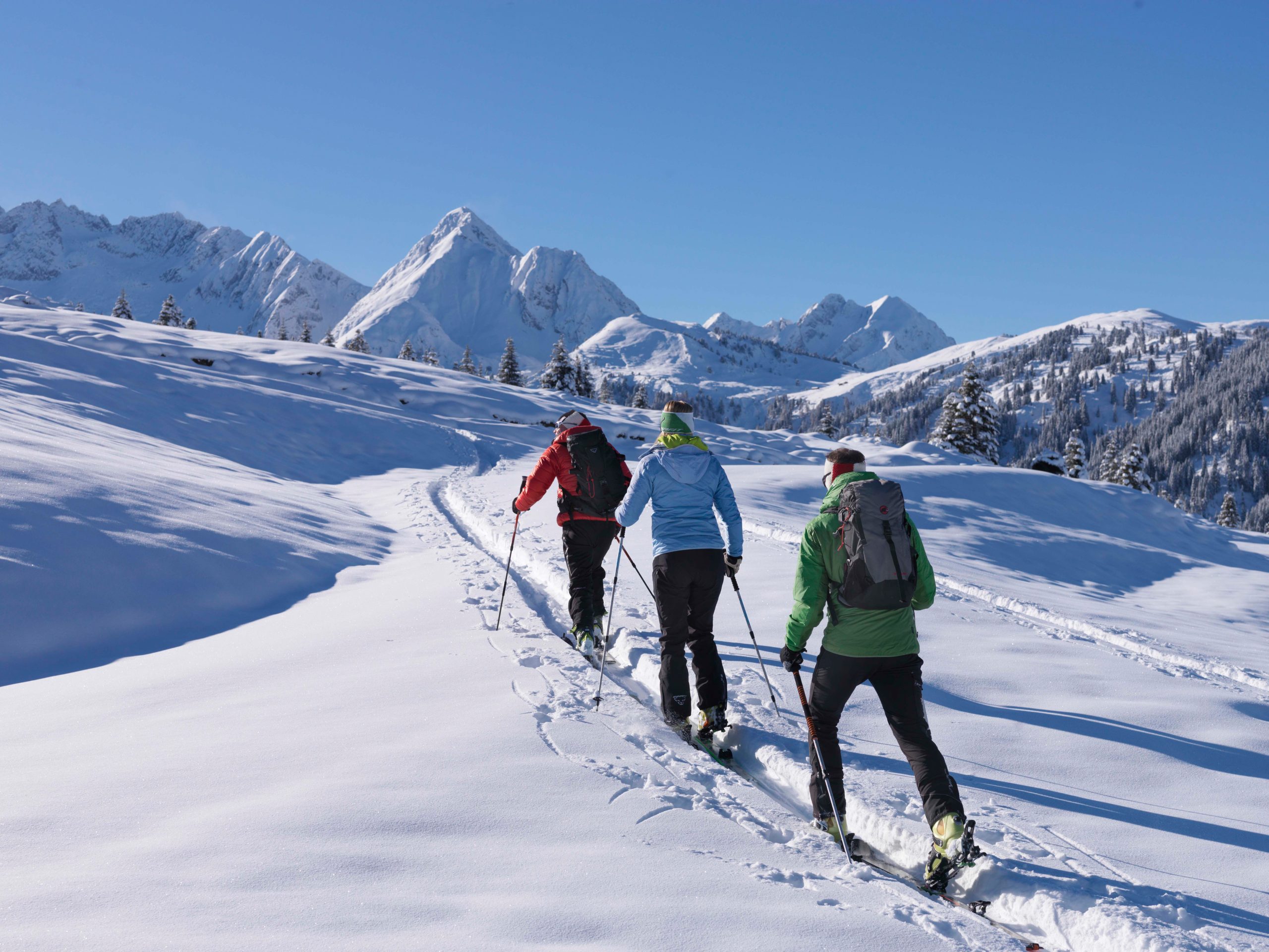 Aufstieg bei einer Skitour in den Alpen