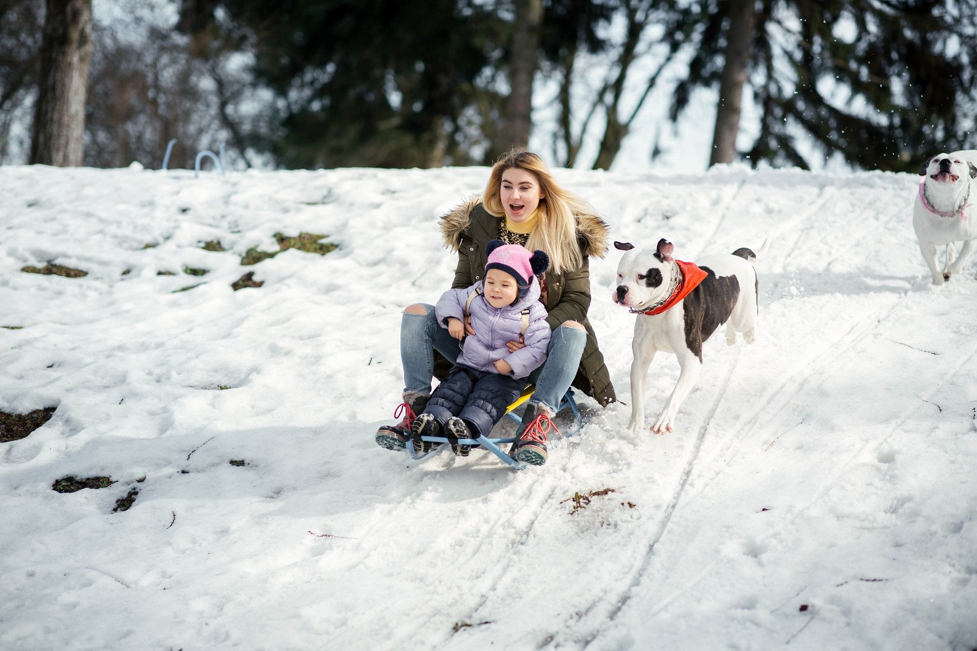 Rodelspaß in den Winterferien