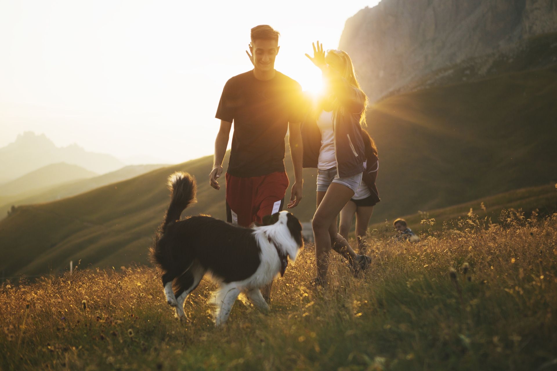 Wandern-mit-Hund.jpg
