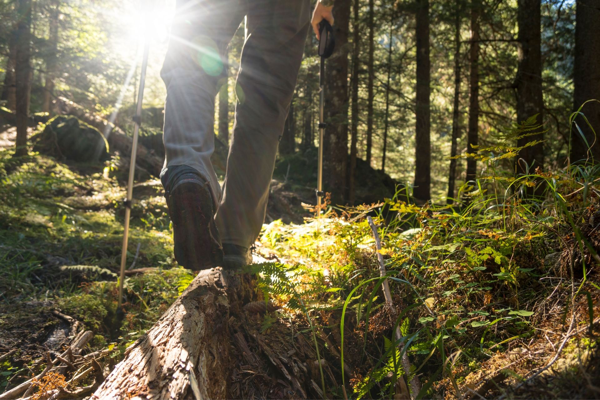 Wanderschuhe für Freizeitaktivitäten beim Chalet-Urlaub