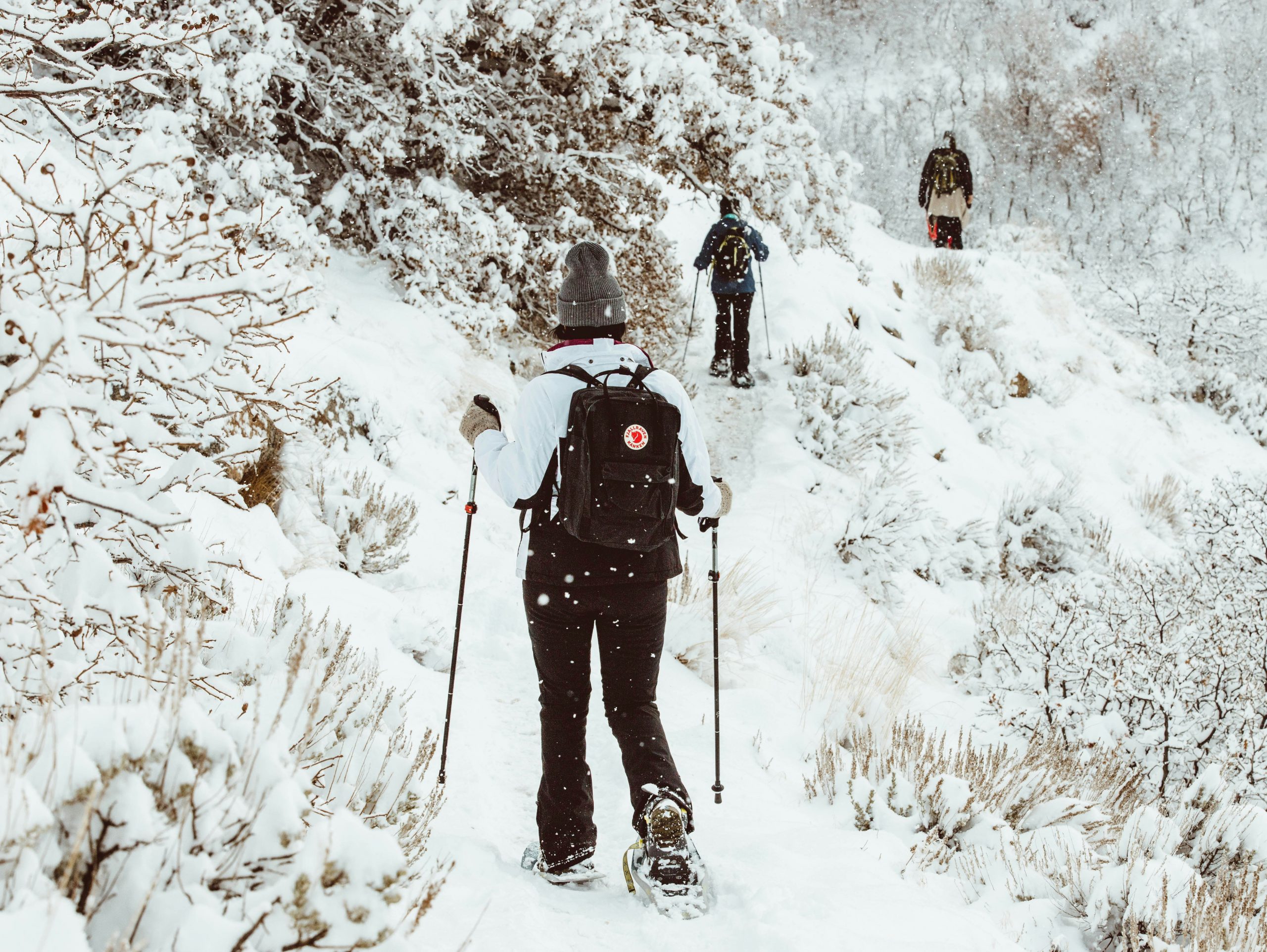 schneeschuhwandern-scaled.jpg
