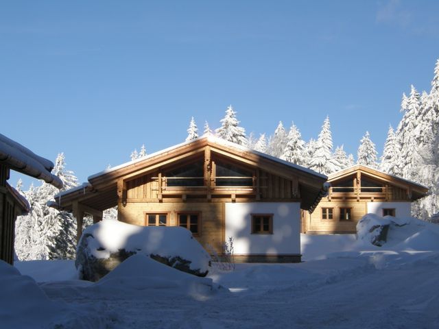 Dreisessel-Chalets in Haidmühle im Winter