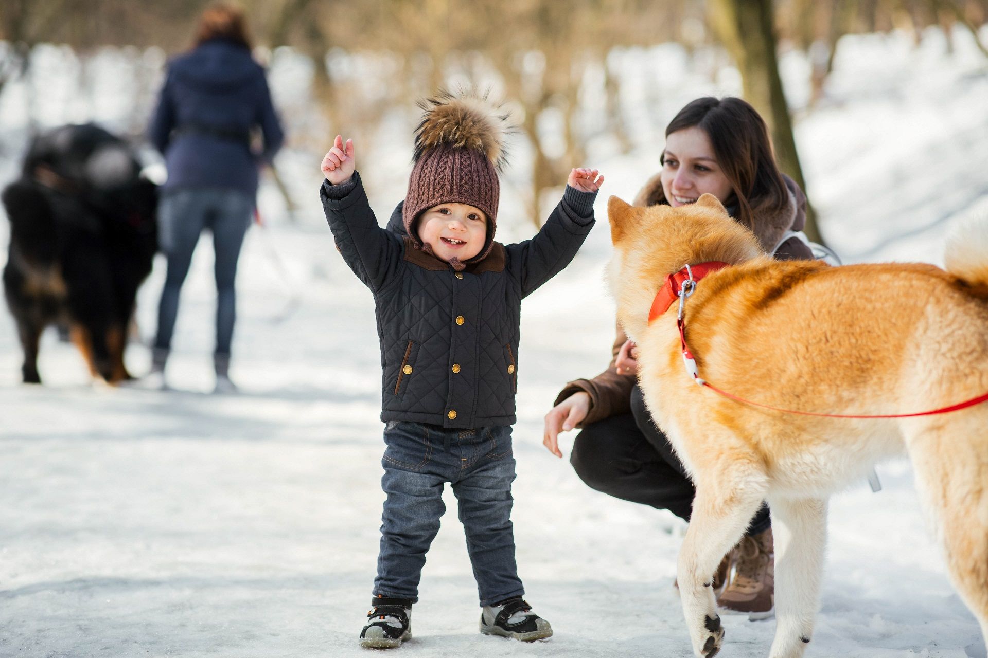 Kind freut sich beim spazieren mit dem Hund