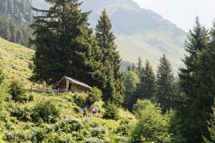 Kleine Holzhütte im Obersulzbachtal