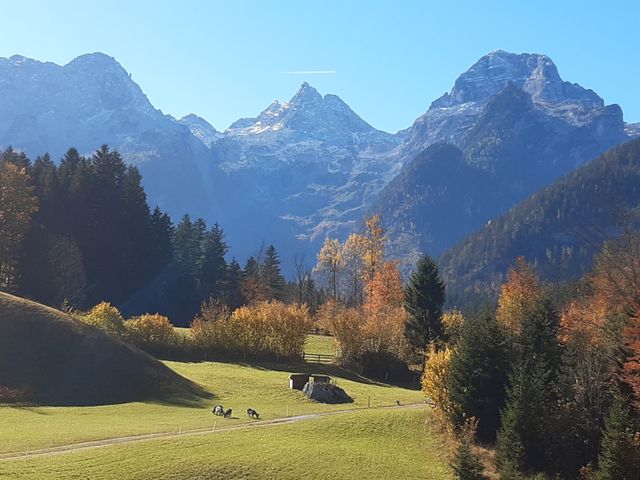 Chalet Scheffsnoth