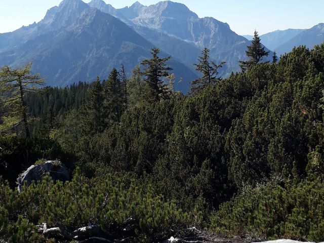 Chalet Scheffsnoth