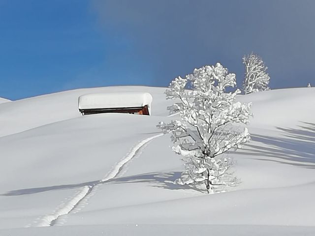 Chalet Scheffsnoth